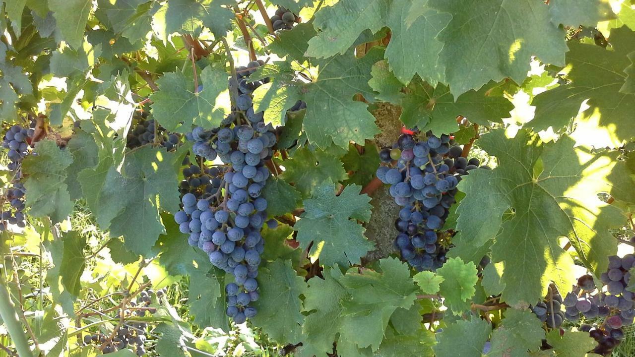 Agriturismo Le Giarine Fogliano Redipúglia Buitenkant foto