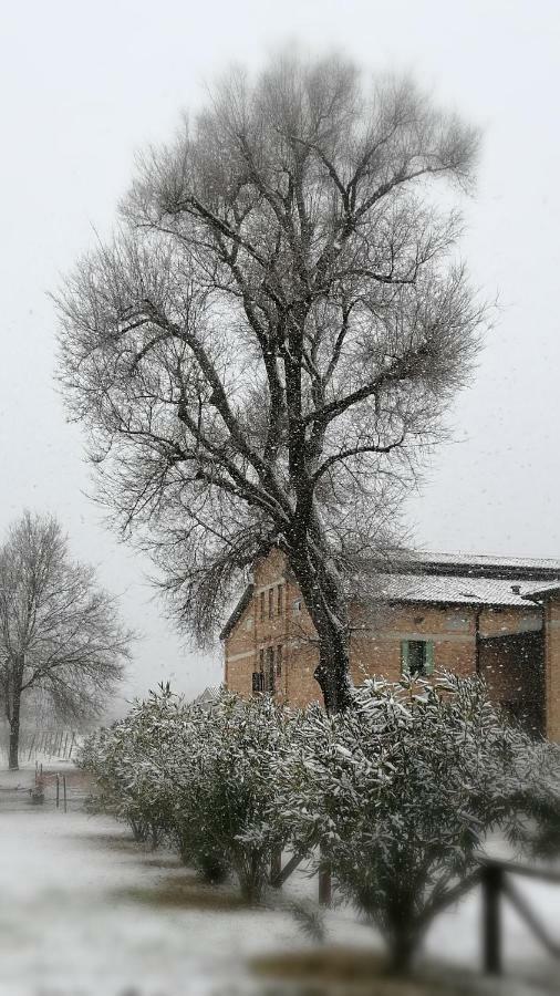 Agriturismo Le Giarine Fogliano Redipúglia Buitenkant foto